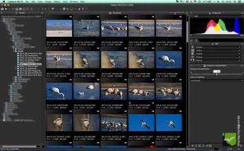 Nikon Capture Nx D Download Mac